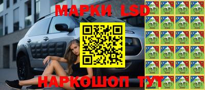 индика Будённовск