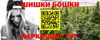 индика Будённовск