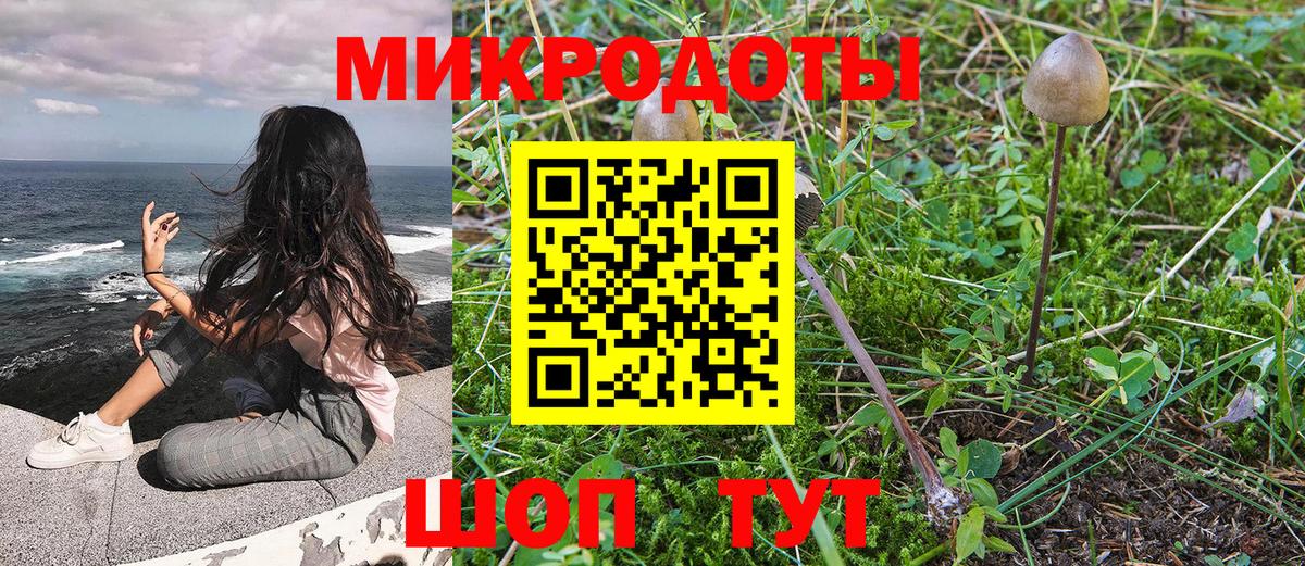 Галлюциногенные грибы прущие грибы  Галлюциногенные грибы мухоморы  Вход с VPN  Златоуст 